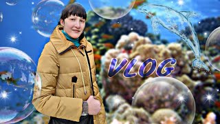 VLOG//НЕЗАБЫВАЕМЫЙ ПОХОД В ДЕЛЬФИНАРИЙ