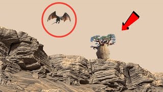 NASA's Mars Rover Perseverance Captured Spectacular Shocking Footage of Mars Life - Sol 1152