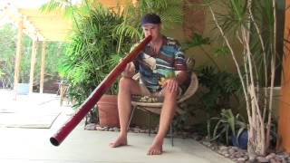 "JF498" Yucca Didgeridoo by James Felgar