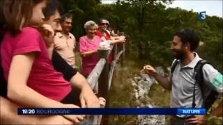 [REPORTAGE] France 3 Région - Réserve Naturelle du Bois du Parc