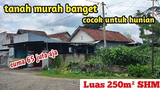 Tanah murah cuma 65 juta lingkungan ramai cocok untuk hunian di Batuaji Ringinrejo Kediri