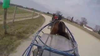 3 22 16 2YO Training Part One GoPro