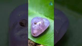 Discovering Ancient Treasures: Natural Violet Sapphire Mukkaru Bead 🌟