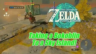 Zelda: Tears of the Kingdom - Taking a Bokoblin To a Sky Island!