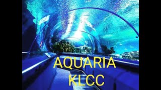 Aquaria KLCC | Largest public aquariam in Malaysia