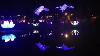 ЛЕТАЮЩИЕ РЫБЫ ФЕСТИВАЛЬ СВЕТА В РИГЕ 16.11.18 STARO RIGA-2018 LIGHT FESTIVAL