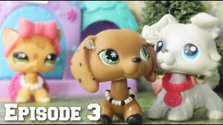 LPS: Half-Hearted SEASON 2 Episode 3 (A Serious Secret)