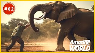 The Unfortunate Consequences of Scaring an Elephant: A Man's Regretful Experience Part 2