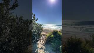 Australia beach #reels  #video  #australia  #shortvideo  #beach