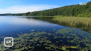 Прогулка на SUP по озеру на Карельском перешейке