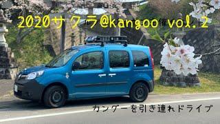 2020サクラ@kangoo vol.2