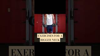 Exercises For A Bigger Neck Pt 2 #exercise #workout #motivation #gym #facts #fyp #dumbbell #gains