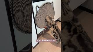 Cat scratching post #petpet #cat #catlover