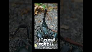 घर में नेगेटिव एनर्जी पहचान ? #ytshorts