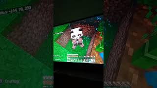 I found the brown panda in Minecraft