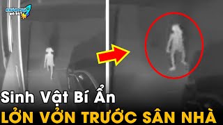 ✈️ 6 Hiện Tượng Bí Ẩn Và Kỳ Lạ Nhất Thế Giới Khiến Giới Khoa Học Cũng Phải Bó Tay | Khám Phá Đó Đây