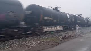 CN MANIFEST IN FOG