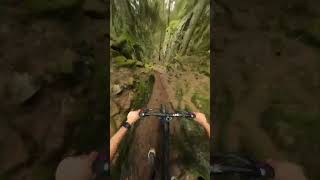 Crazy tight canyon trail in Norway!