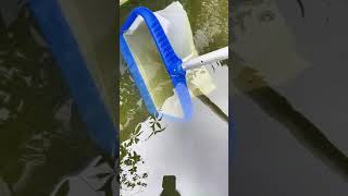 pool skimmer net pool cleaning net