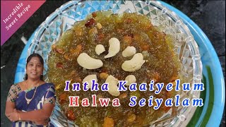 இந்த காயிலும் செய்யலாம் | 😋 சூப்பரான சுரைக்காய் அல்வா 🤤 | Bottlegourd Halwa