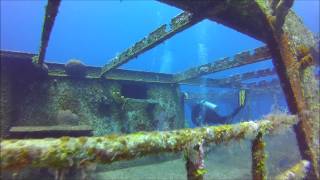 Copy of Diving in Cozumel edit 2.. extended version- 1080p.wmv