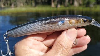 Making a Crankbait That's Bullet Proof #fishinglures #makinglures #crankbaits #jigskinz