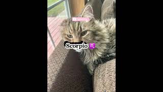 My pets as.. Zodiac signs 🩷