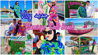 flamingo coco Beach🇹🇳 vlog/لي جاء لتونس و ماجيتيش هنا راكي تراطي / هزيت عائلتي للمالديف🇩🇿