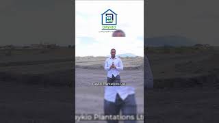 Daykio Hekima: 1/8 acre plot of land for sale in Juja, Kenya.