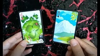 Interpretação - As Cartas Opostas do Lenormand