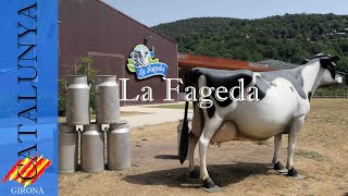 Visita y prueba los productos de la cooperativa de la Fageda | Girona #9