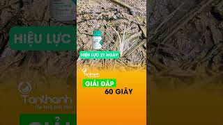 [Giải đáp 60s] Giải đáp các thắc mắc cùng Quý bà con!#tanthanhco #viralreels #youtubeshorts