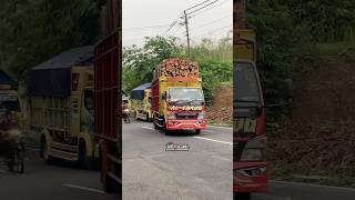 Truck Logging Melintasi Tikungan Tajam | Pesona Kelok Manglong