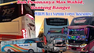 Penampakan Bus PESONA Dan PO HARYANTO‼️Terminal Binorong Area Full Penumpang 🔥