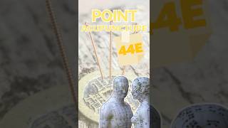 POINT D’ACUPUNCTURE - 44E / Nei Ting #acupuncture #acupuncturepoints #medecinechinoise