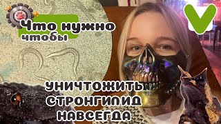 Самые УЖАСНЫЕ глисты лягушек. Как УНИЧТОЖИТЬ навсегда?