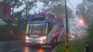 SHARE FOOTAGE BUS DIVA JAYA TRANS DJ WORTH IT FUNKOT YANG LAGI VIRAL