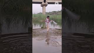 नेट थ्रो फिशिंग बहोत सारी मछली #viral #shorts @GrandpaFishing @FishermansLife