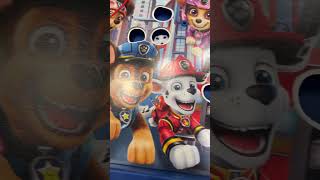 Paw Patrol Operation game