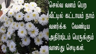 வீட்டில் கட்டாயம் வளர்க்க வேண்டிய செடிகள்...........