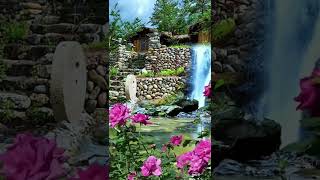 Nature | China village houses, flowers, Stone house | Nature 4k videos | Short video