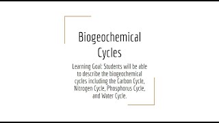 5.5 Biogeochemical Cycles P2