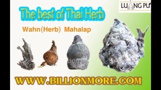 The best of Thai Herb