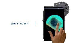 Semen Stain Detection using Multispectral Technology