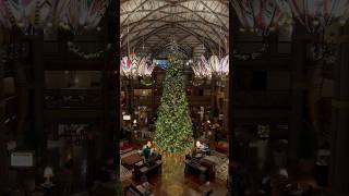 Christmas Tree - Disney’s Animal Kingdom Lodge #waltdisneyworld #christmastree