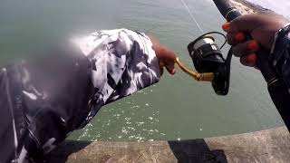 Pier Fishing in OBX: Jeanette's Pier & Avalon Pier