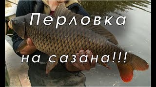 Как готовить перловку на САЗАНА!!! Проверенный способ!