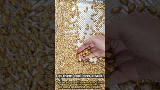 How to Roast Pumpkin Seeds #shorts