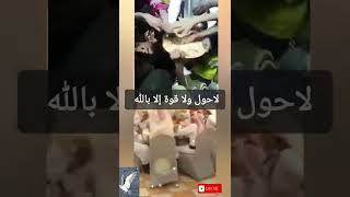 🔴شاهد وأحكم بنفسك.  لا حول ولا قوة إلا بالله #shorts #maroc #السعوديه #العراق