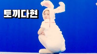 [TWICE/다현] 너무 귀엽고 사랑스러운 토끼다현~ #shorts